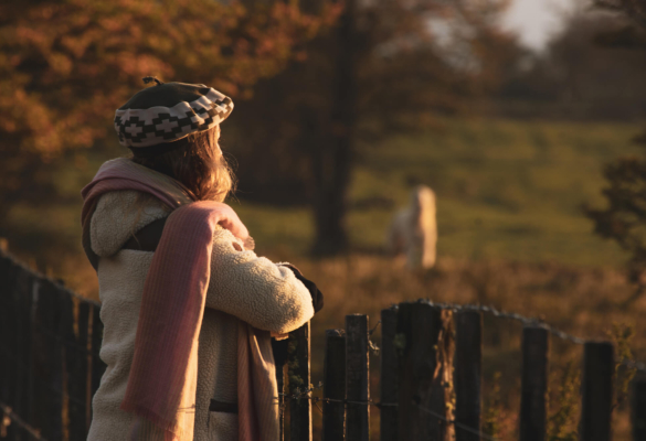 The Hotel - PCamp-23