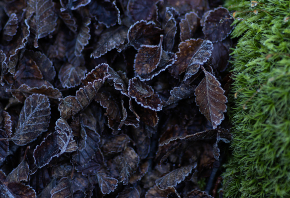 The Hotel - PCamp-31