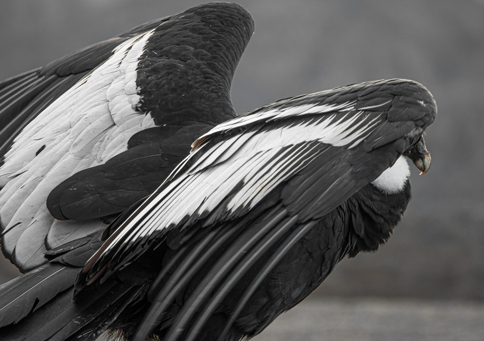 The Hotel - PCamp-34