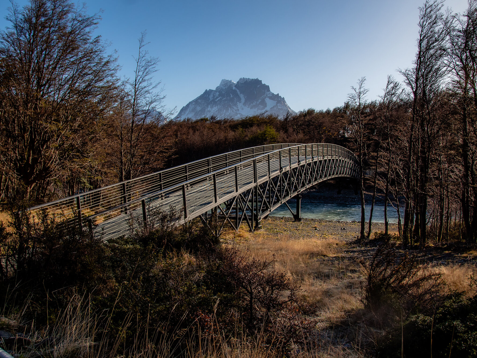 Pingo - Playa Grey-1