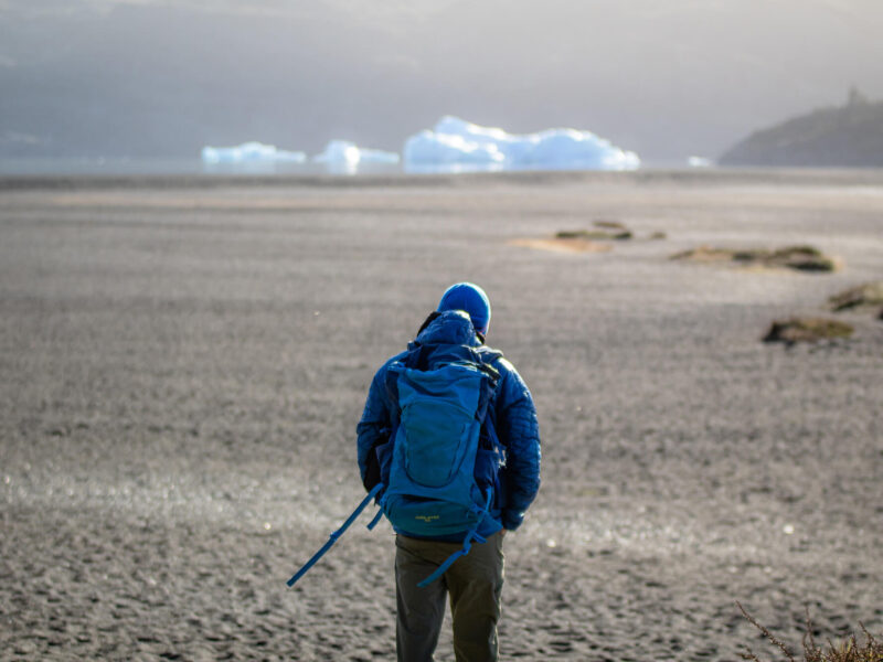 Pingo - Playa Grey-3