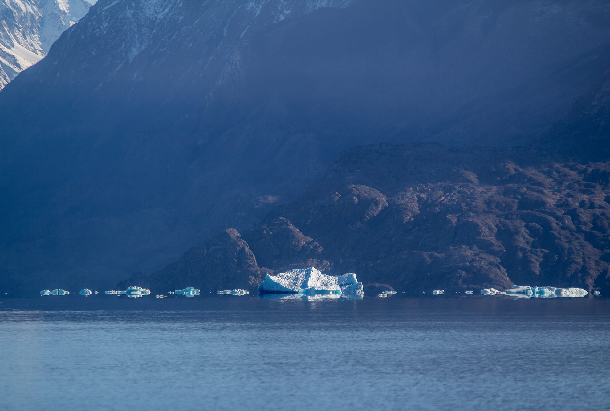 Pingo - Playa Grey-5