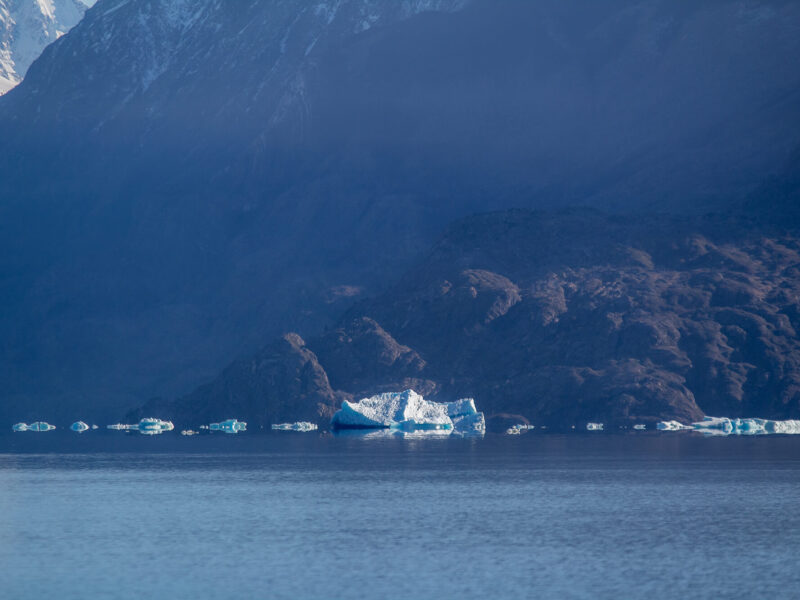 Pingo - Playa Grey-5