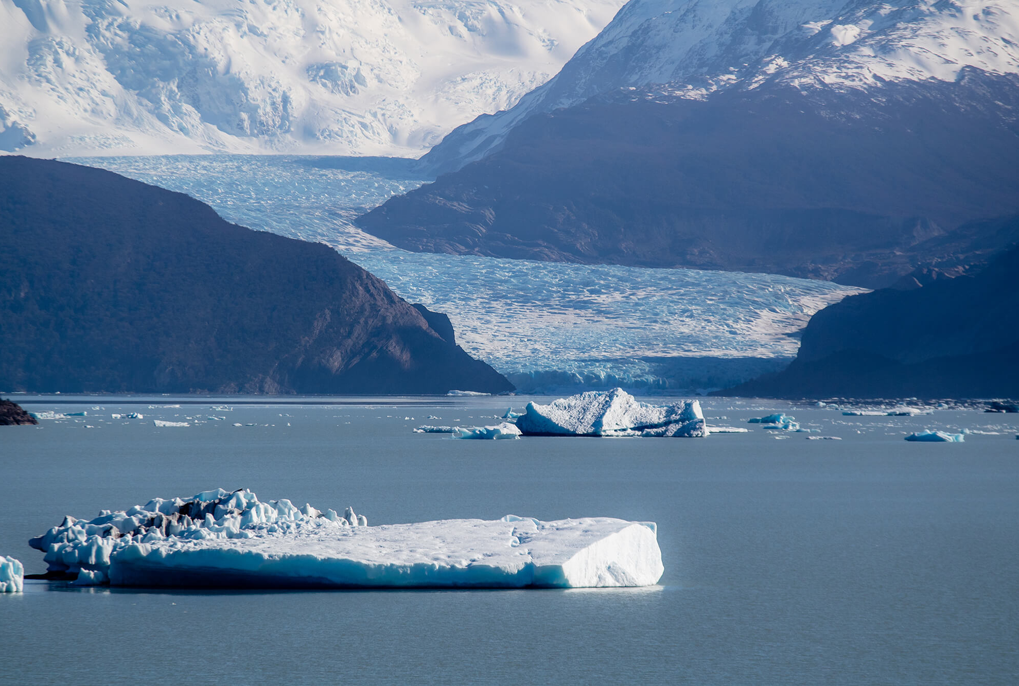 Pingo - Playa Grey-9