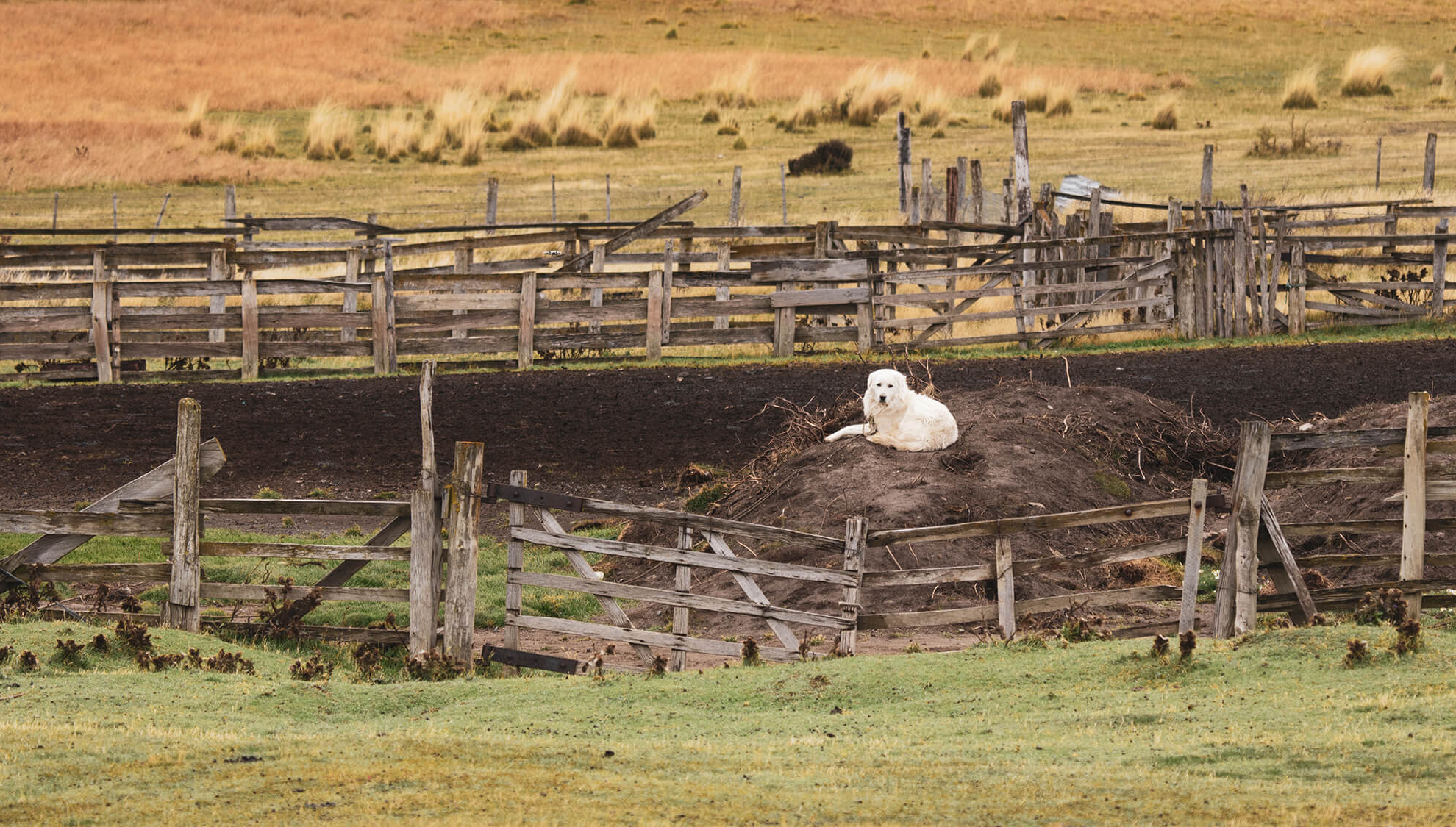 Patagonia Camp Web-38