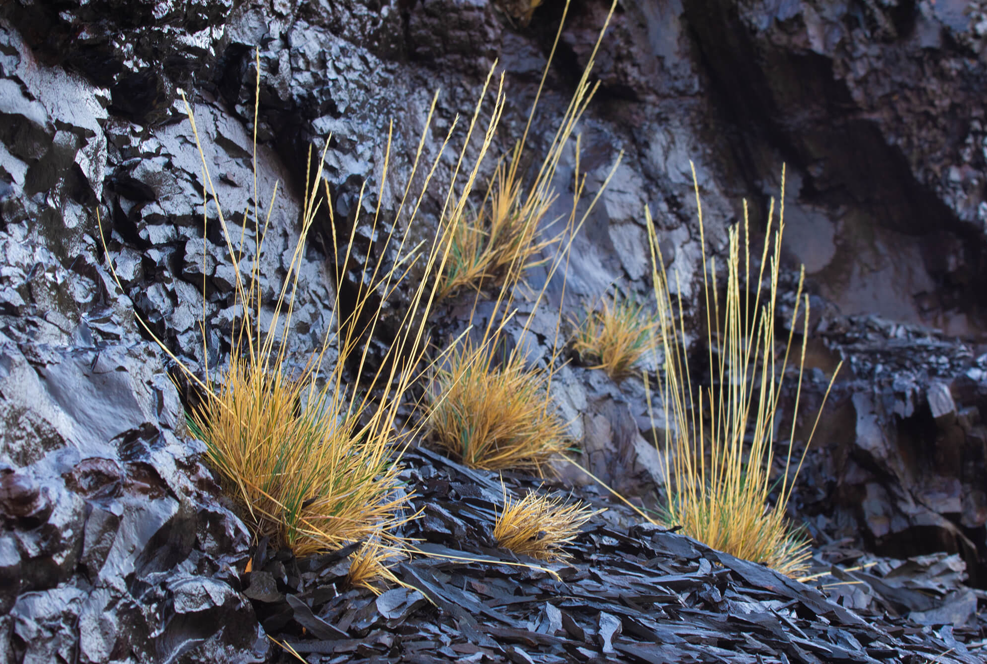 Patagonia Camp Web-39