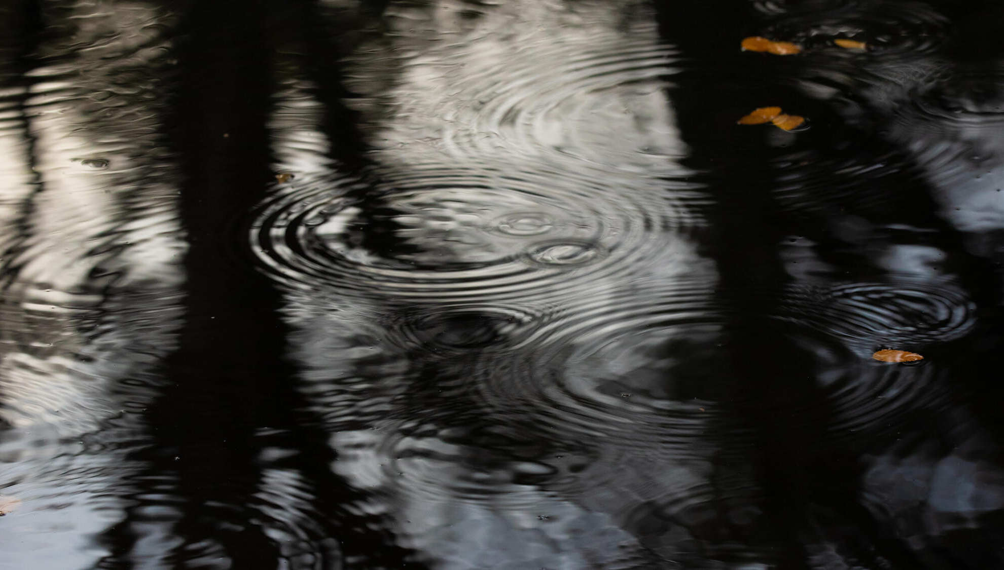 Patagonia Camp Web-40