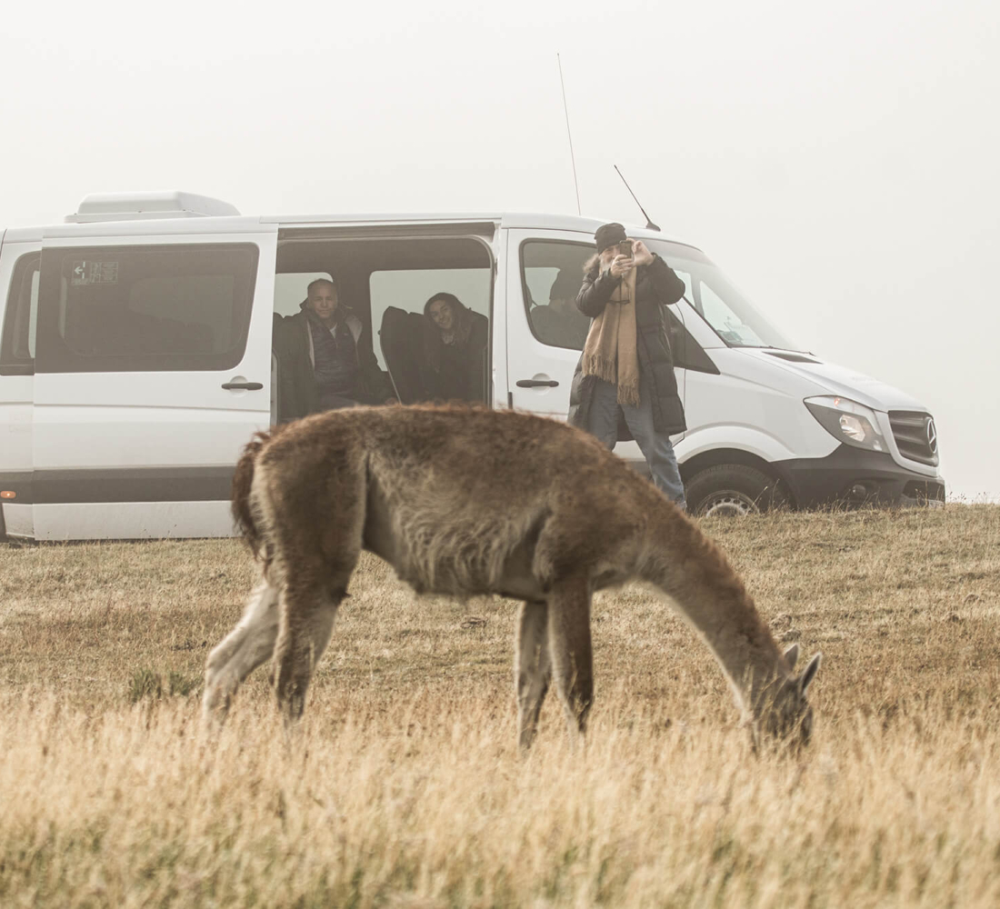 Patagonia Camp Web-74