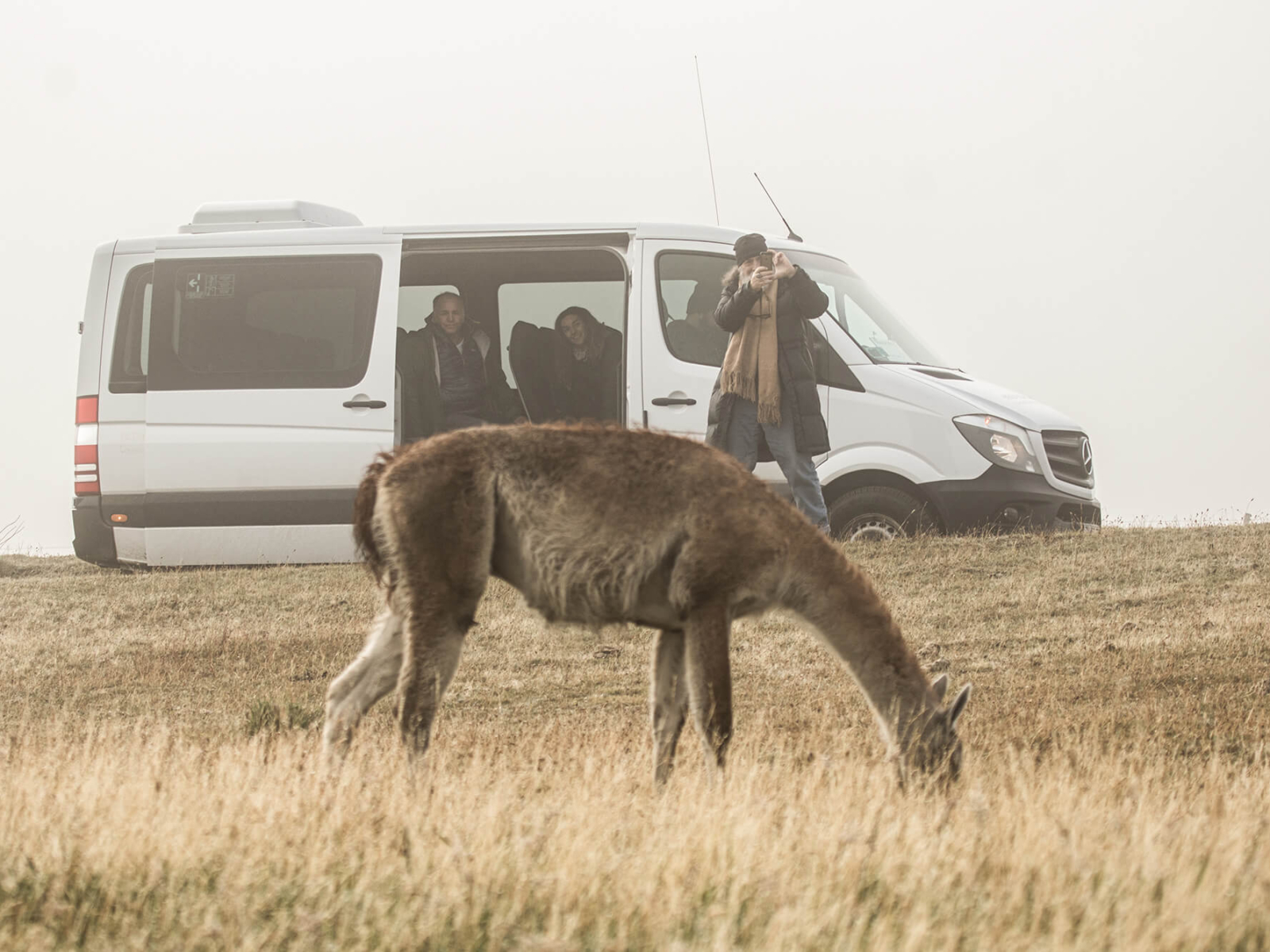 Patagonia Camp Web-74