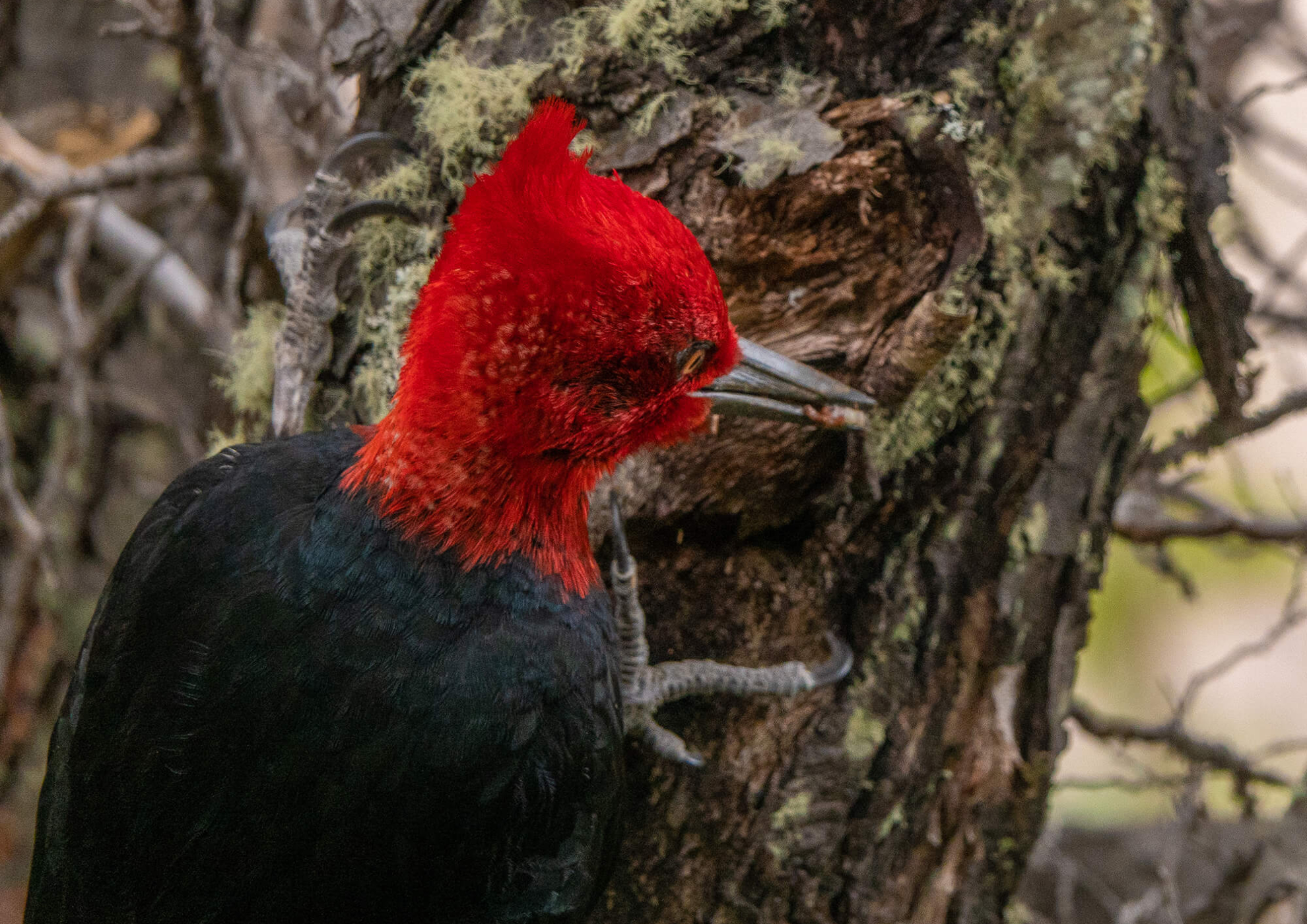 Patagonia Camp Web-78