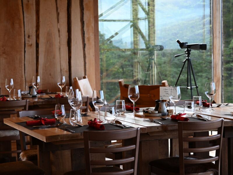 WhatsApp Image 2026-01-07 at 11.07.52 (1)