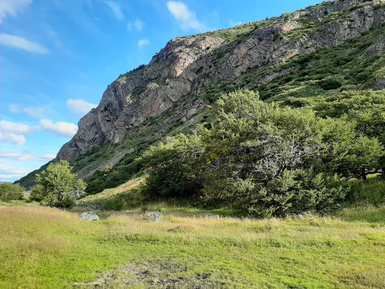 d75311ee-b491-43b0-bb3e-d74adb5d0d78