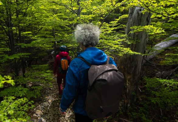 Natural landscape shaped by Patagonian light