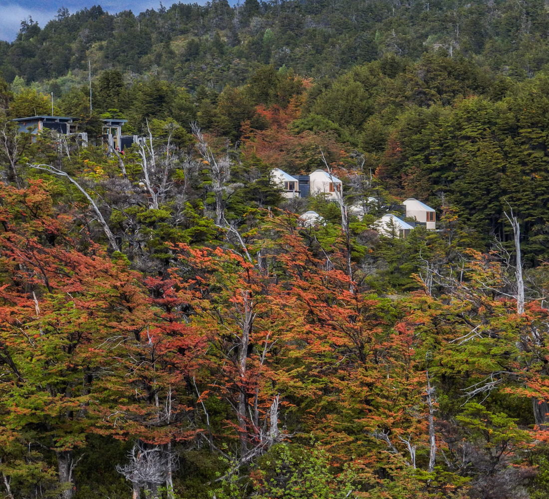 Overview of yurts surrounded by autumn foliage at Patagonia Camp