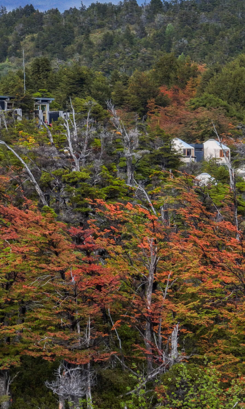 Overview of yurts surrounded by autumn foliage at Patagonia Camp