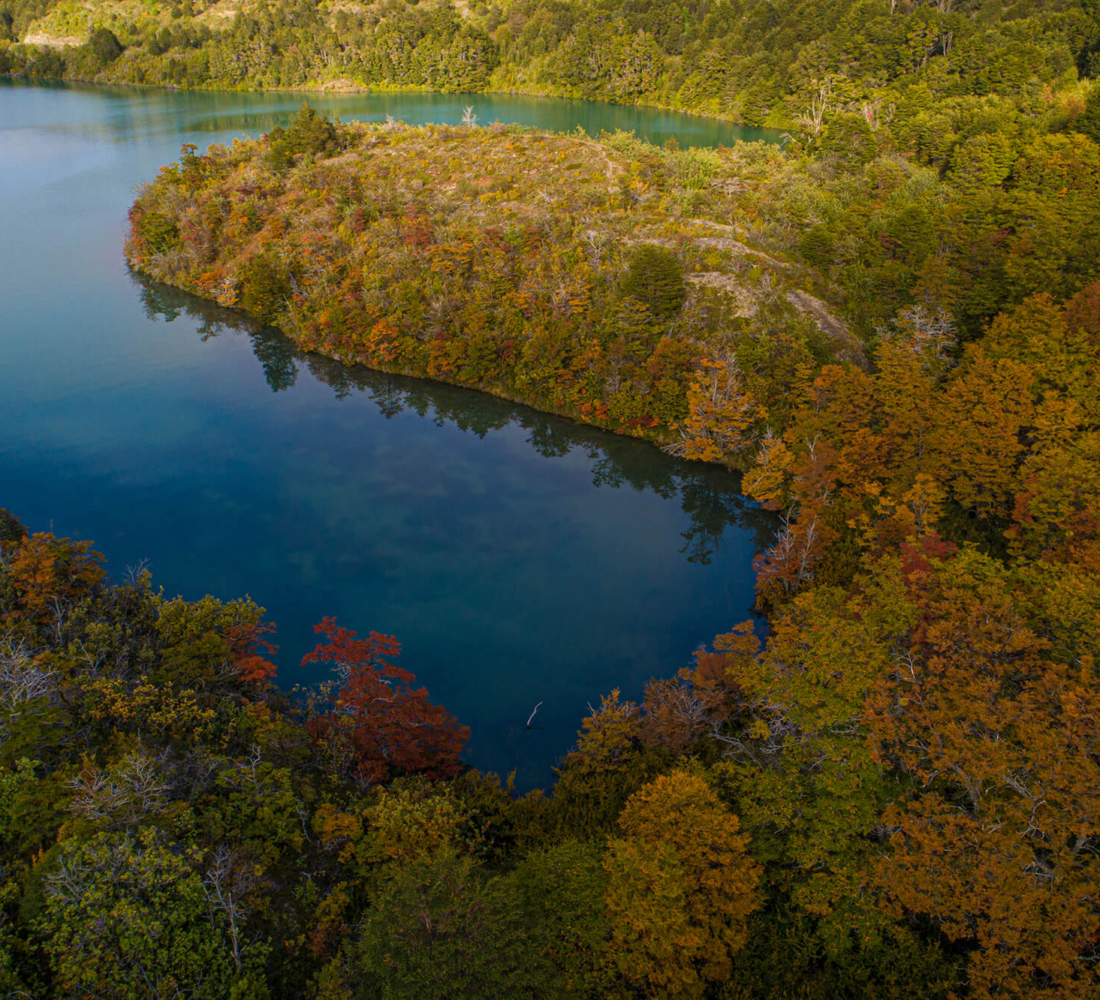 Lake Toro surrounded by autumn forest in Patagonia