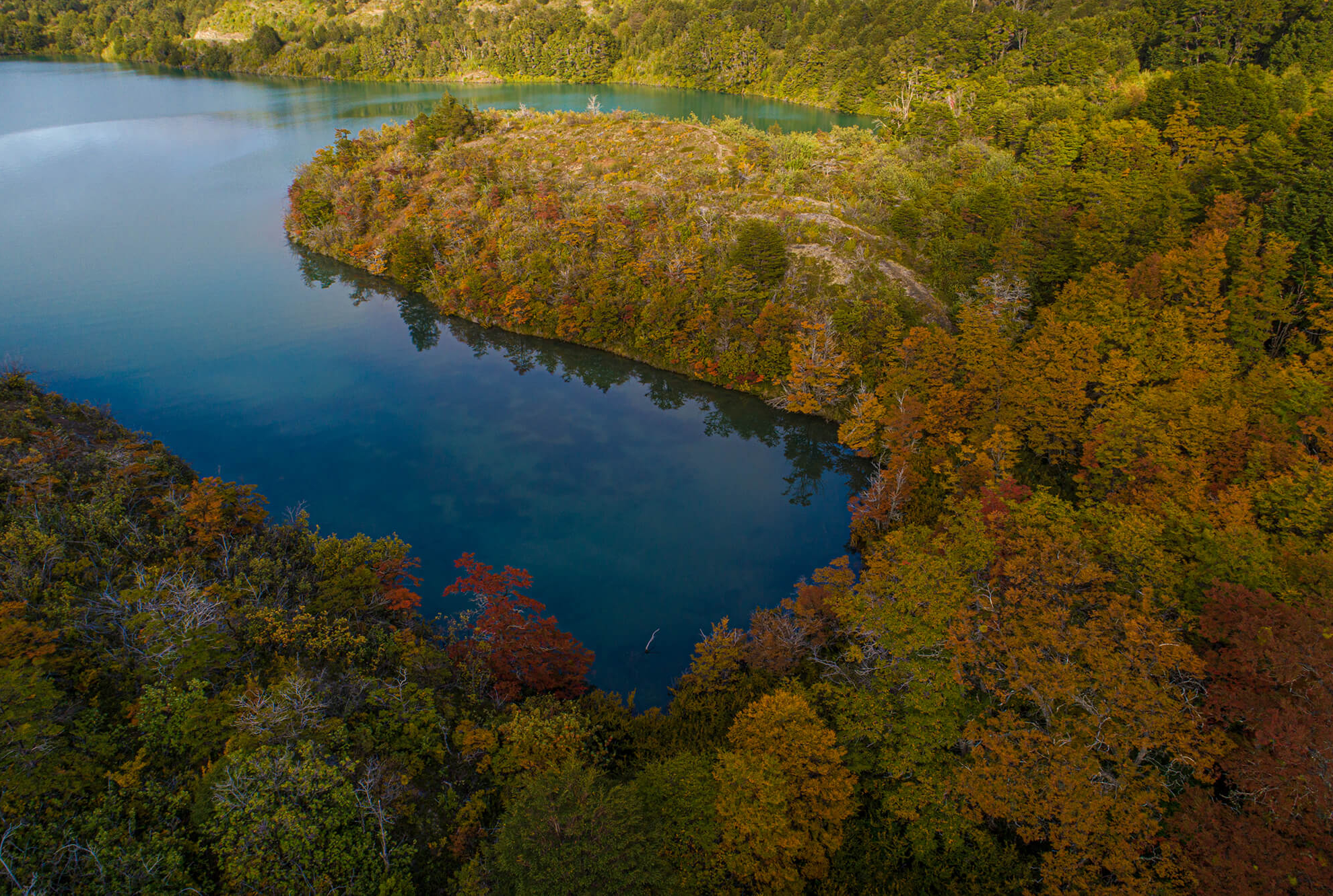 Lake Toro surrounded by autumn forest in Patagonia