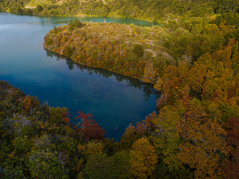 Lake Toro surrounded by autumn forest in Patagonia